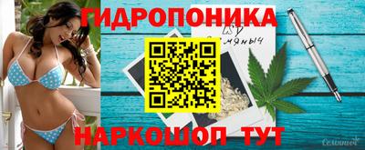 ECSTASY Кулебаки