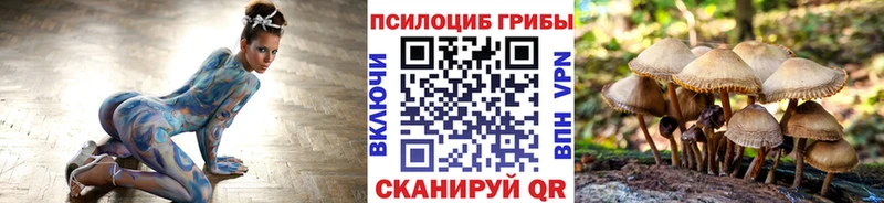 Псилоцибиновые грибы GOLDEN TEACHER  наркошоп  Красногорск 