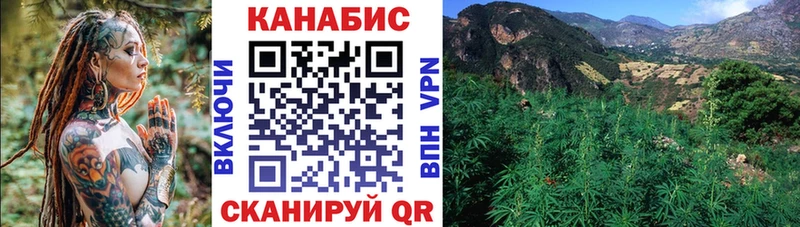 Бошки Шишки SATIVA & INDICA  закладки  Красногорск 